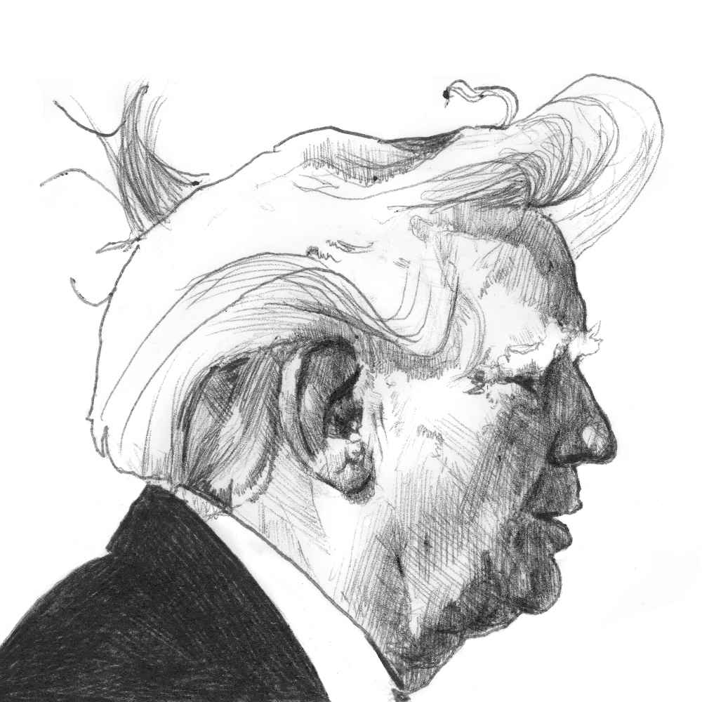 Donald Trump | 4x6 | Original Ink Drawing