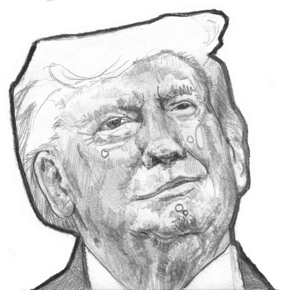 Donald Trump Smirking | 4x6 | Original Graphite Drawing