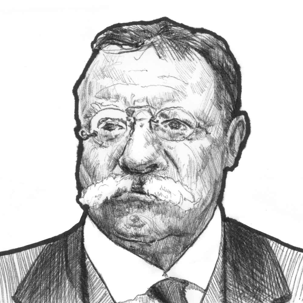 Theodore Roosevelt | 4x6 | Original Ink Drawing